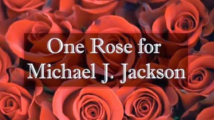 one-rose-pic